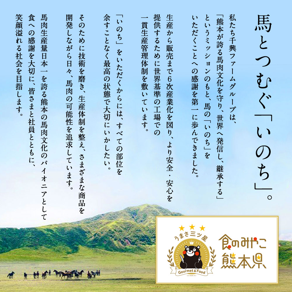 菅乃屋 公式通販サイト】| 鮮馬刺し赤身切り落としセット